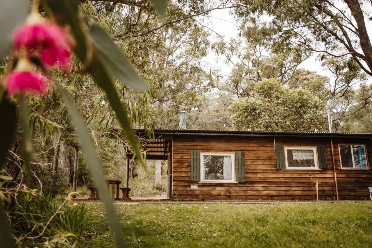 Gum Grove Chalets Denmark Bagian luar foto